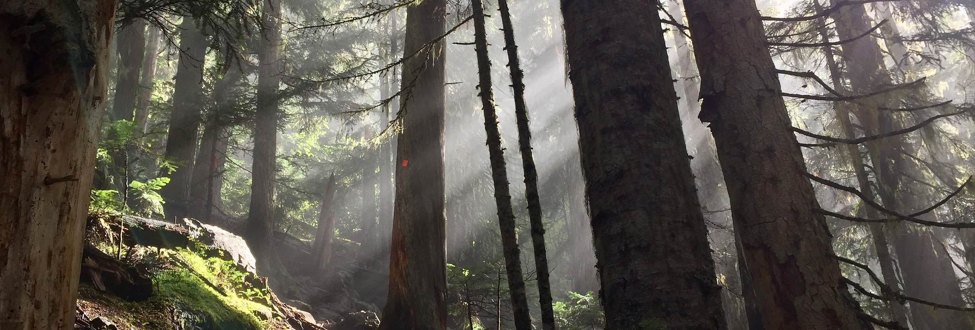 Balancing Life, Real Estate, and Everything In Between